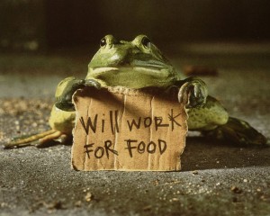 work4food