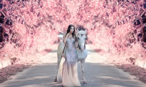 horse (1)