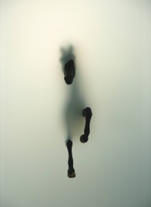 horse (3)